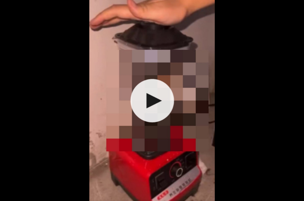 Cat blender video